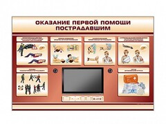 Многофункциональный интерактивный стенд-тренажер "Оказание первой помощи пострадавшим" для учащихся общеобразовательных учреждений - fgospostavki.ru - Ивантеевка