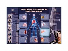 Электрифицированный стенд "Вредные привычки: наркомания" - fgospostavki.ru - Ивантеевка