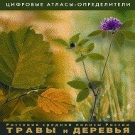 Растения средней полосы России "Травы и Деревья". (Цифровые атласы-определители) - fgospostavki.ru - Ивантеевка