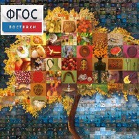 Начальная школа. Иностранный язык. (Цифровая база изображений) - fgospostavki.ru - Ивантеевка