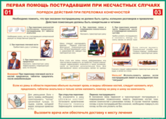 Таблица "Порядок действий при переломах конечностей" (100х140 сантиметров, винил) - fgospostavki.ru - Ивантеевка