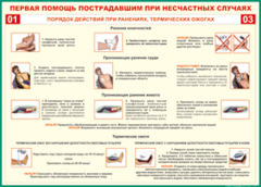 Таблица "Порядок действий при ранениях и термических ожогах" (100х140 сантиметров, винил) - fgospostavki.ru - Ивантеевка