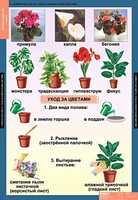 Комплект таблиц. Окружающий мир 1 класс. - fgospostavki.ru - Ивантеевка