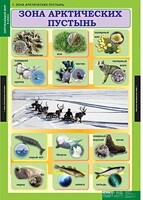 Комплект таблиц. Окружающий мир 4 класс. - fgospostavki.ru - Ивантеевка