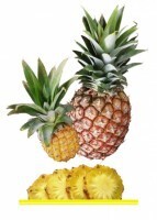 Комплект карточек "Запоминай, играй, считай" - Фрукты - fgospostavki.ru - Ивантеевка