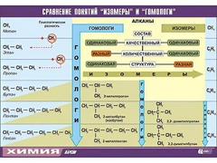 Таблица демонстрационная "Сравнение понятий изомер и гомолог" (винил 100x140) - fgospostavki.ru - Ивантеевка