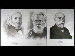 Портреты биологов (26 штук, формат А3) - fgospostavki.ru - Ивантеевка