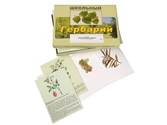 Гербарий "Для начальной школы" (30 видов, с иллюстрациями) - fgospostavki.ru - Ивантеевка