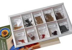 Коллекция "Плоды сельскохозяйственных растений" - fgospostavki.ru - Ивантеевка