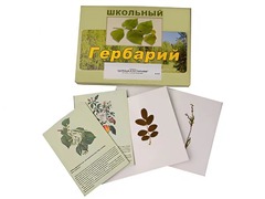 Гербарий "Деревья и кустарники" (22 вида, с иллюстрациями) - fgospostavki.ru - Ивантеевка