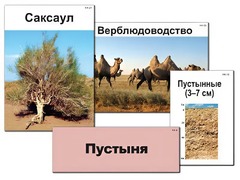 Модель-аппликация "Природные зоны России" (ламинированная) - fgospostavki.ru - Ивантеевка