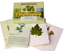 Гербарий "Систематика растений. Высшие споровые и семенные" (раздаточный) - fgospostavki.ru - Ивантеевка