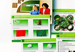 Коллекция "Шелк и продукты его переработки" (средняя школа) - fgospostavki.ru - Ивантеевка