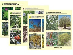 Гербарий фотографический по географии - fgospostavki.ru - Ивантеевка