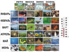 Фенологические наблюдения - fgospostavki.ru - Ивантеевка