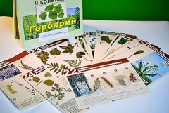 Гербарий к курсу основ общей биологии - fgospostavki.ru - Ивантеевка