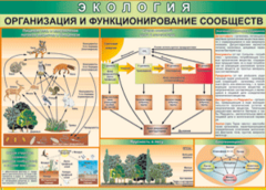 Таблица "Организация и функционирование сообществ" (100х140 сантиметров, винил) - fgospostavki.ru - Ивантеевка