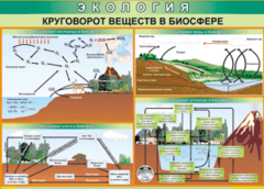 Таблица "Круговорот веществ в биосфере" (100х140 сантиметров, винил) - fgospostavki.ru - Ивантеевка