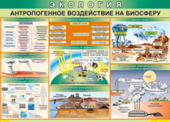 Таблица "Антропогенное воздействие на биосферу" (100х140 сантиметров, винил) - fgospostavki.ru - Ивантеевка