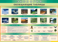 Таблица "Экология. Обобщающие таблицы" (100х140 сантиметров, винил) - fgospostavki.ru - Ивантеевка