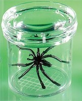 Баночка для изучения насекомых GeoSafari - fgospostavki.ru - Ивантеевка