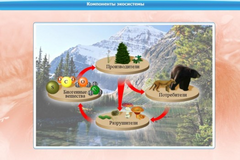 Интерактивные курсы. Биология 7 класс. Базовый. - fgospostavki.ru - Ивантеевка