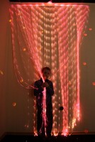Мерцающий занавес в комплекте с источником света - fgospostavki.ru - Ивантеевка