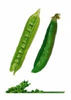 Комплект карточек "Запоминай, играй, считай" -  Овощи - fgospostavki.ru - Ивантеевка