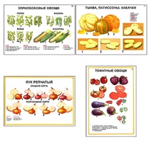 Плакаты ПРОФТЕХ "Ассортимент овощных культур" (12 пл, винил, 70х100) - fgospostavki.ru - Ивантеевка