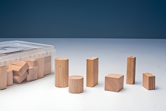 Игровой набор Фребеля "Конструктор" (50 элементов, бук, серия "Красота вокруг нас") - fgospostavki.ru - Ивантеевка