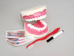 Игровой комплект "Чистим зубы" - fgospostavki.ru - Ивантеевка