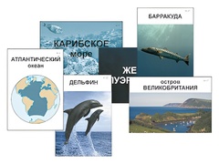 Модель-аппликация "Океаны. Знакомство" (ламинированная) - fgospostavki.ru - Ивантеевка