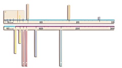 Модель-аппликация "Расстояния во Вселенной" - fgospostavki.ru - Ивантеевка