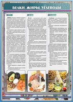 Стенд "Белки. Жиры. Углеводы" - fgospostavki.ru - Ивантеевка