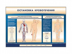 Электрифицированный стенд-тренажер "Остановка кровотечения" - fgospostavki.ru - Ивантеевка