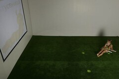 Интерактивная светозвуковая система “Лайт Бим” - fgospostavki.ru - Ивантеевка