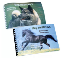Пособие для слабовидящих - Домашние животные - fgospostavki.ru - Ивантеевка