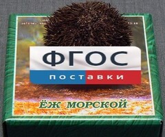 Сухой препарат "Еж морской" - fgospostavki.ru - Ивантеевка
