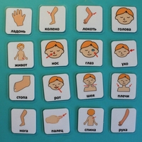 Набор карточек "Части тела" - fgospostavki.ru - Ивантеевка