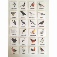 Набор карточек "ПТИЦЫ" - fgospostavki.ru - Ивантеевка