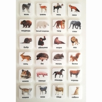 Набор карточек "ЖИВОТНЫЕ" - fgospostavki.ru - Ивантеевка