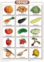 Таблицы "Окружающий мир" (формат А2, ламинированные, 10 таблиц) - fgospostavki.ru - Ивантеевка