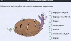 Интерактивные курсы. Биология 6 класс. Расширенный - fgospostavki.ru - Ивантеевка