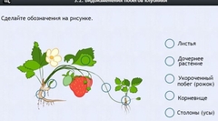 Интерактивные курсы. Биология 7 класс. Расширенный. - fgospostavki.ru - Ивантеевка