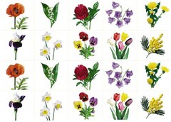 Комплект карточек "Запоминай, играй, считай" - Цветы - fgospostavki.ru - Ивантеевка