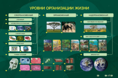 Электрифицированный стенд "Уровни организации жизни" - fgospostavki.ru - Ивантеевка