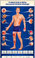 Электрифицированный стенд-тренажер "Травматизм и меры оказания первой помощи" - fgospostavki.ru - Ивантеевка