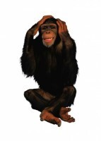 Комплект карточек "Запоминай, играй, считай" - Дикие животные - fgospostavki.ru - Ивантеевка