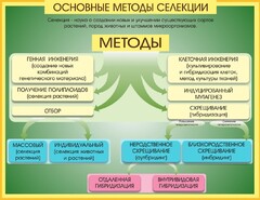Стенд "Методы селекции и биотехнологии" - fgospostavki.ru - Ивантеевка