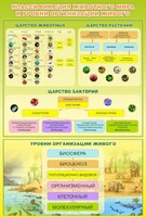 Стенд "Классификация животного мира" - fgospostavki.ru - Ивантеевка